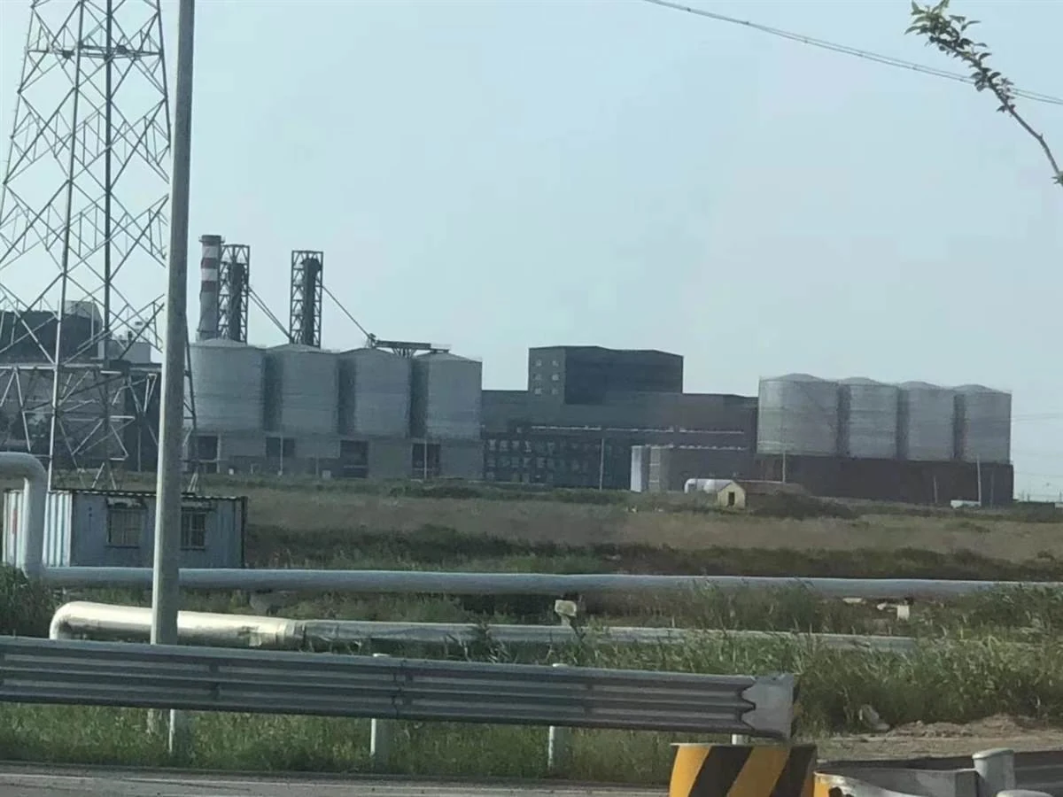Lianyungang Linhai New Materials - Carbon Storage