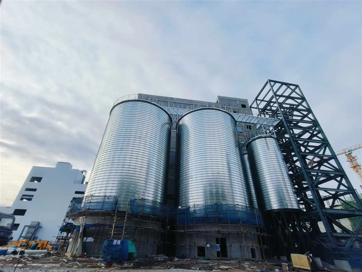 Hunan Industrial Equipment Installation - Changchun Project